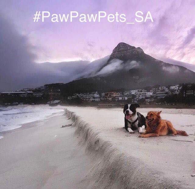 #PawPawPets_SA