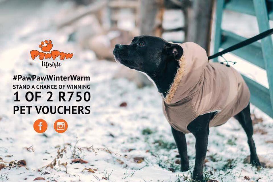 #PawPawWinterWarm