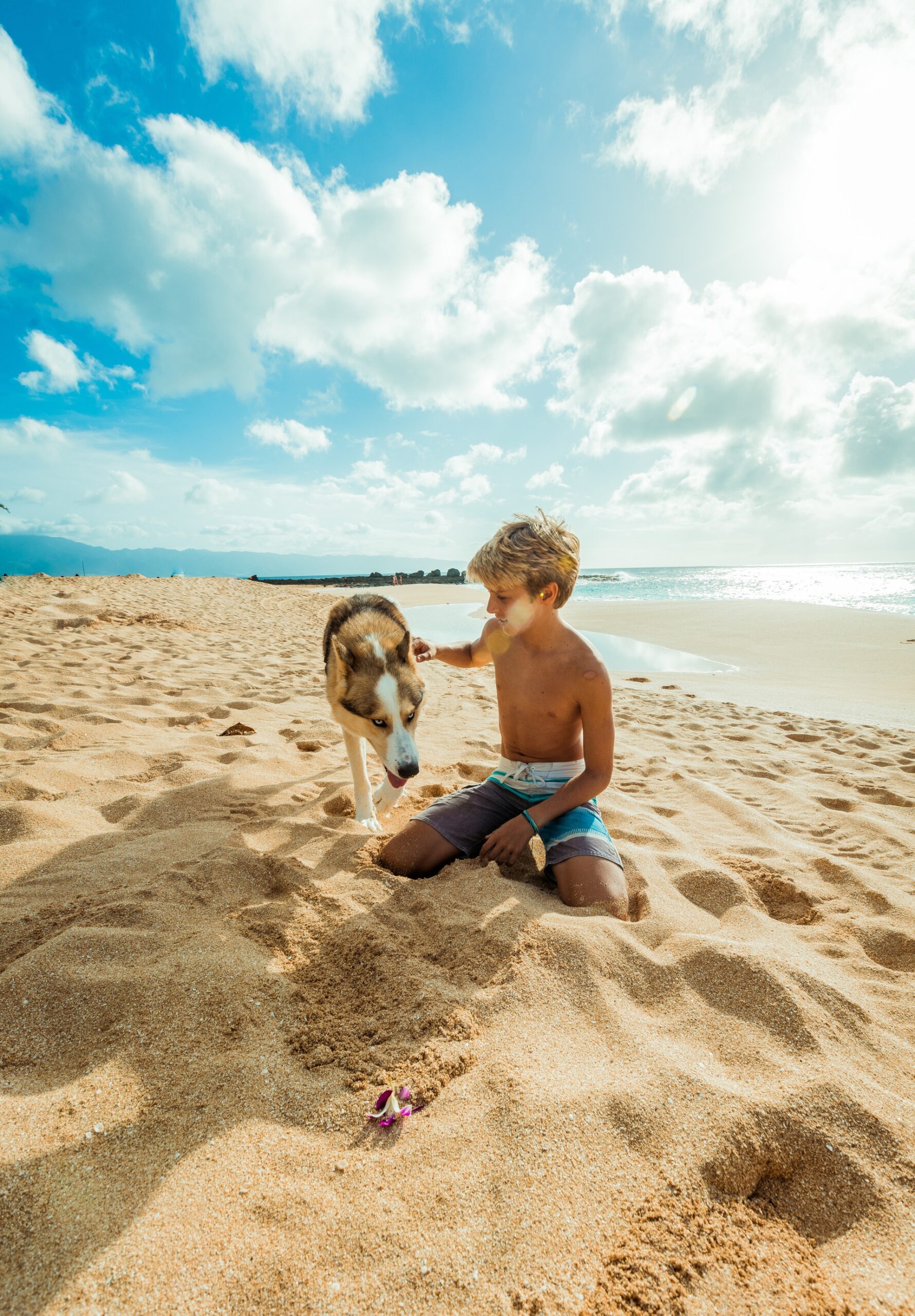 Pawpaw Pet Insurance