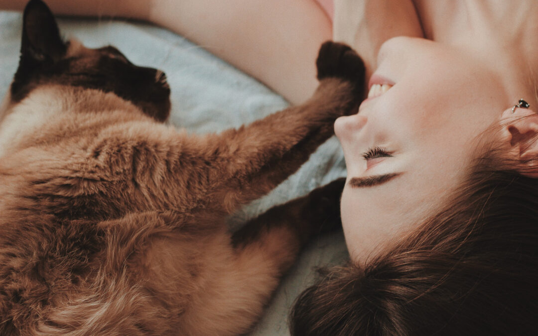 Can Cats Sense Human Emotions?